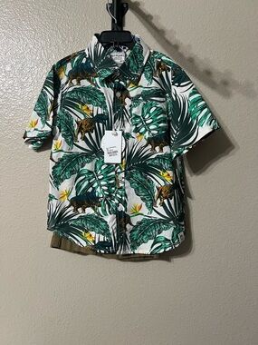 Boys Dinosaur short sleeve Shirt & shorts set SZ-5 NWT